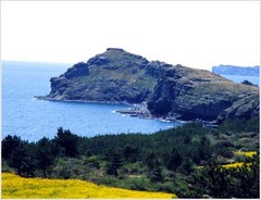 龙头海岸 