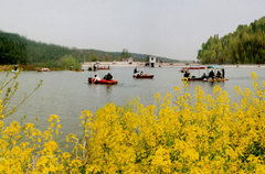 仙人湖图片