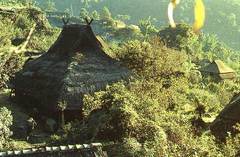 麻栗寨图片