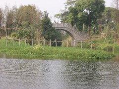 莫干山图片