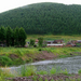 阿尔山国家森林公园