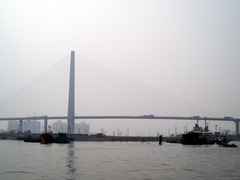 海河图片