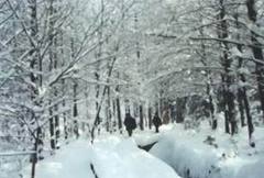 平岗积雪图片