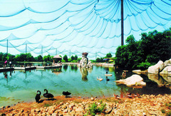合肥野生动物园2