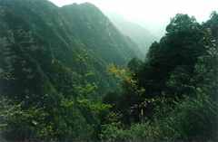 茂兰国家级自然保护区2