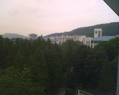 武汉大学图片