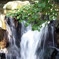 花果山图片