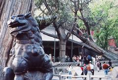 圣母殿图片