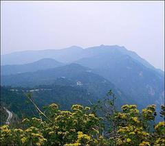 双峰山森林公园图片