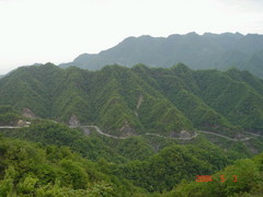 神农架神农顶风景区图片