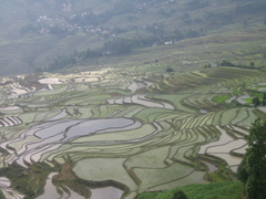 元阳风光图片