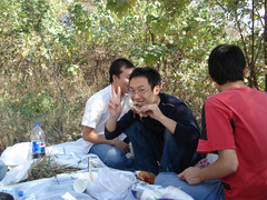 DSC03239