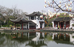 红梅公园图片