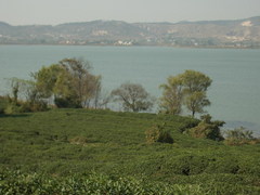 金牛湖风景区图片