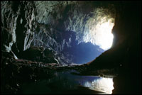 deercave
