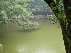 放生池图片