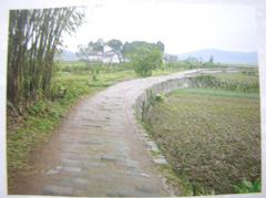苏堤1