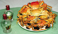 aa