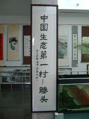 滕头村图片