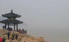 紫竹林图片