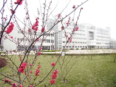 阜阳师范学院图片