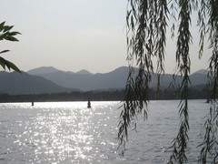 三潭映月图片