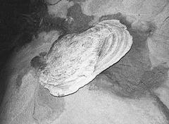 蓬莱仙洞1