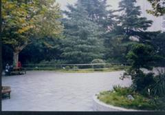 华山儿童公园图片