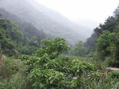 白龙潭图片