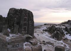 泰山2