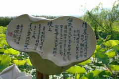 白河郊野公园图片