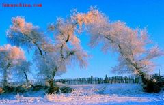 松花江图片