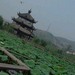 歌乐山荷花山庄农家乐