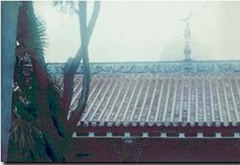 长官清真寺图片