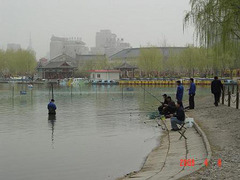 莲花池公园图片