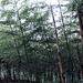 釜山卧龙公园