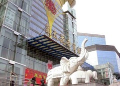 莱太花卉市场图片