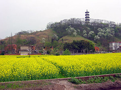 青山风景区图片