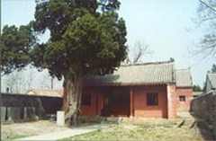 林探花府图片