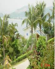云海山庄图片