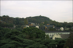 广济寺图片