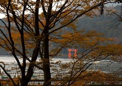 芦之湖图片