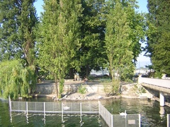 罗纳河 Rhone River 6