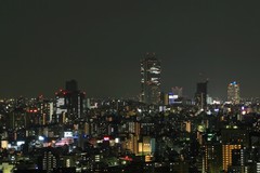 东京 东京夜景18