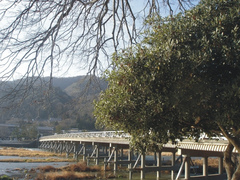 岚山 岚山1