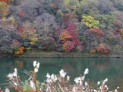 岚山 京都岚山2
