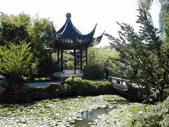 中国城图片