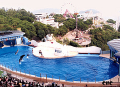 海洋馆图片