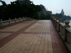 龙舟池图片