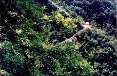 洛南县老君山图片